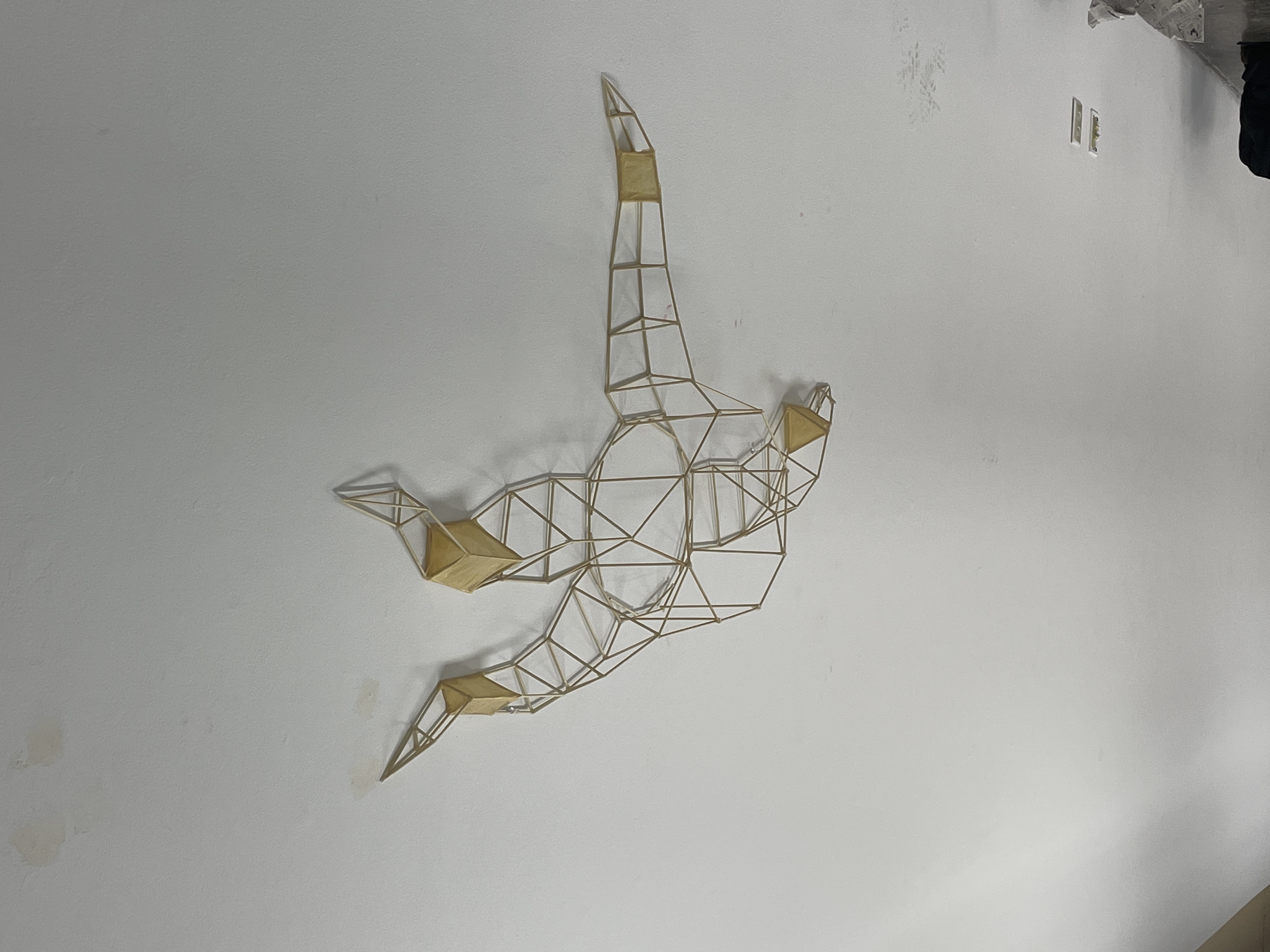 ECT Project Image 1