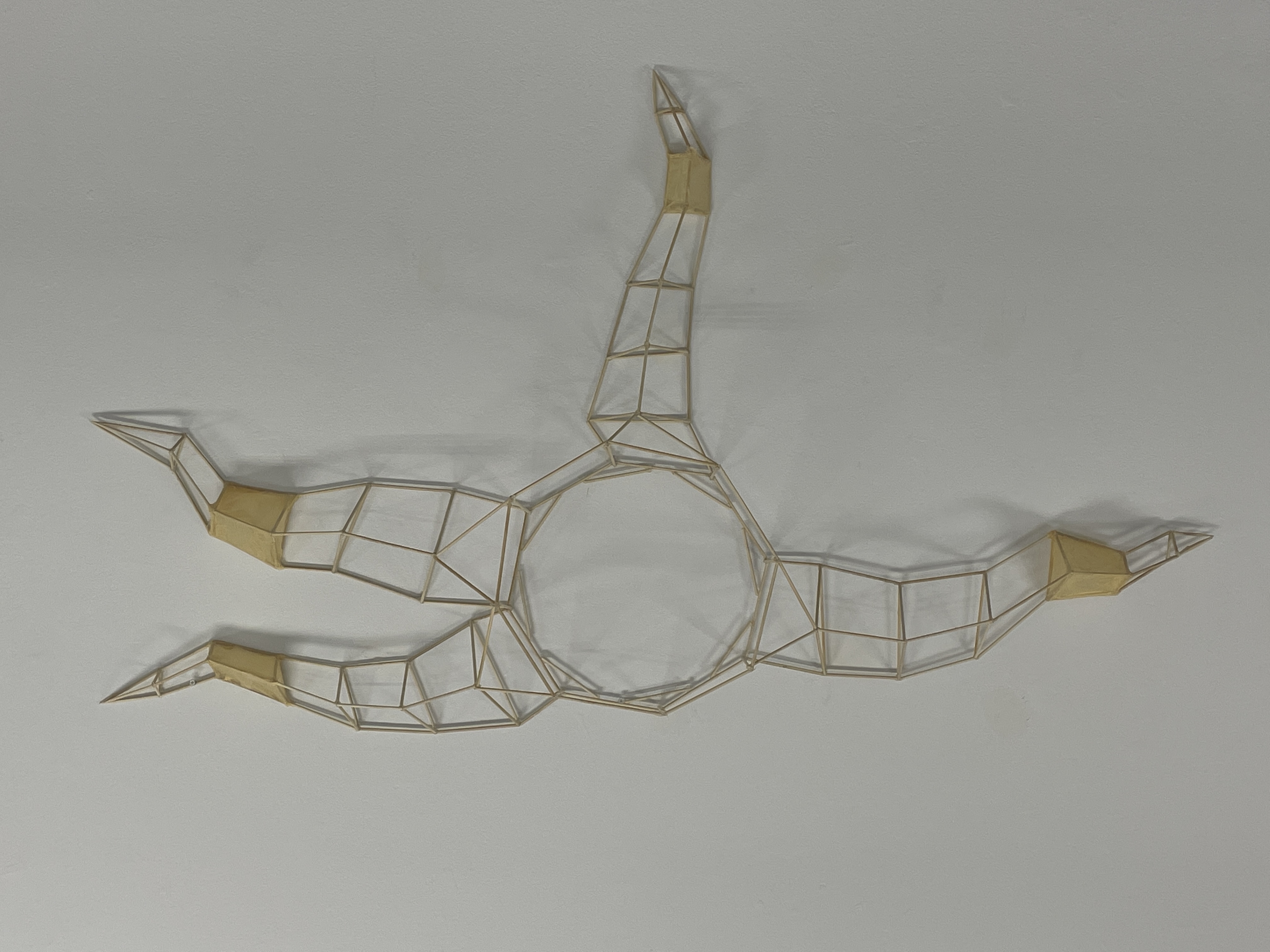 ECT Project Image 2